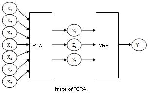 Analysis Using Intermediate Layer