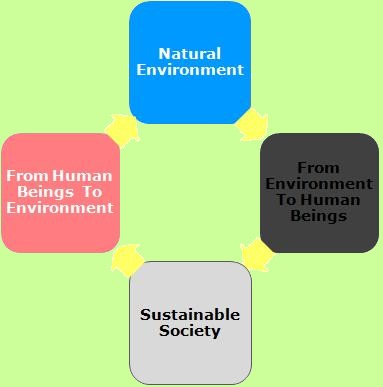 Environmental School